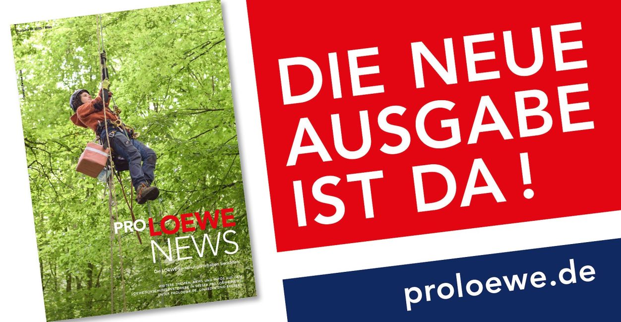 Ausschnitt aus dem Cover der ProLOEWE-News